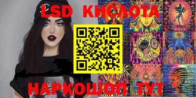тгк Краснодар